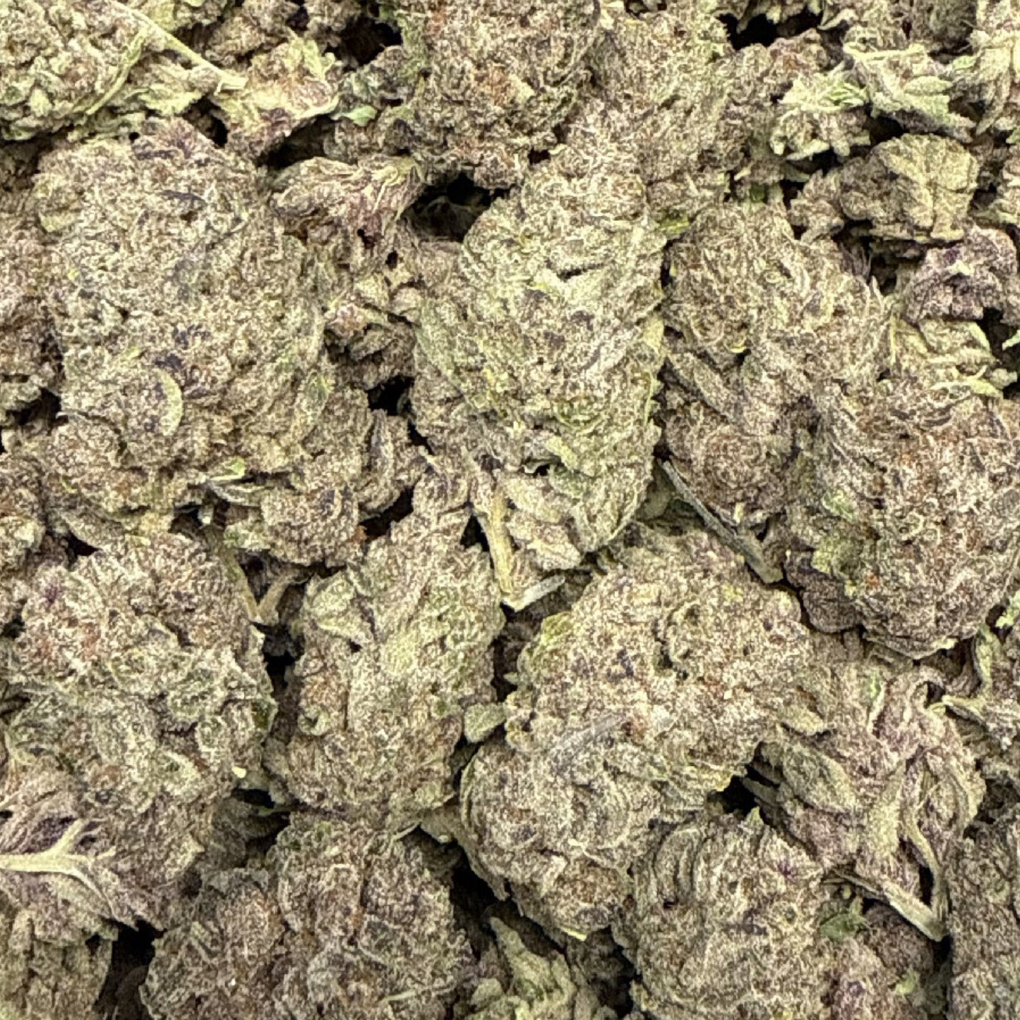 THCa Flower | No Drama Llama 14g