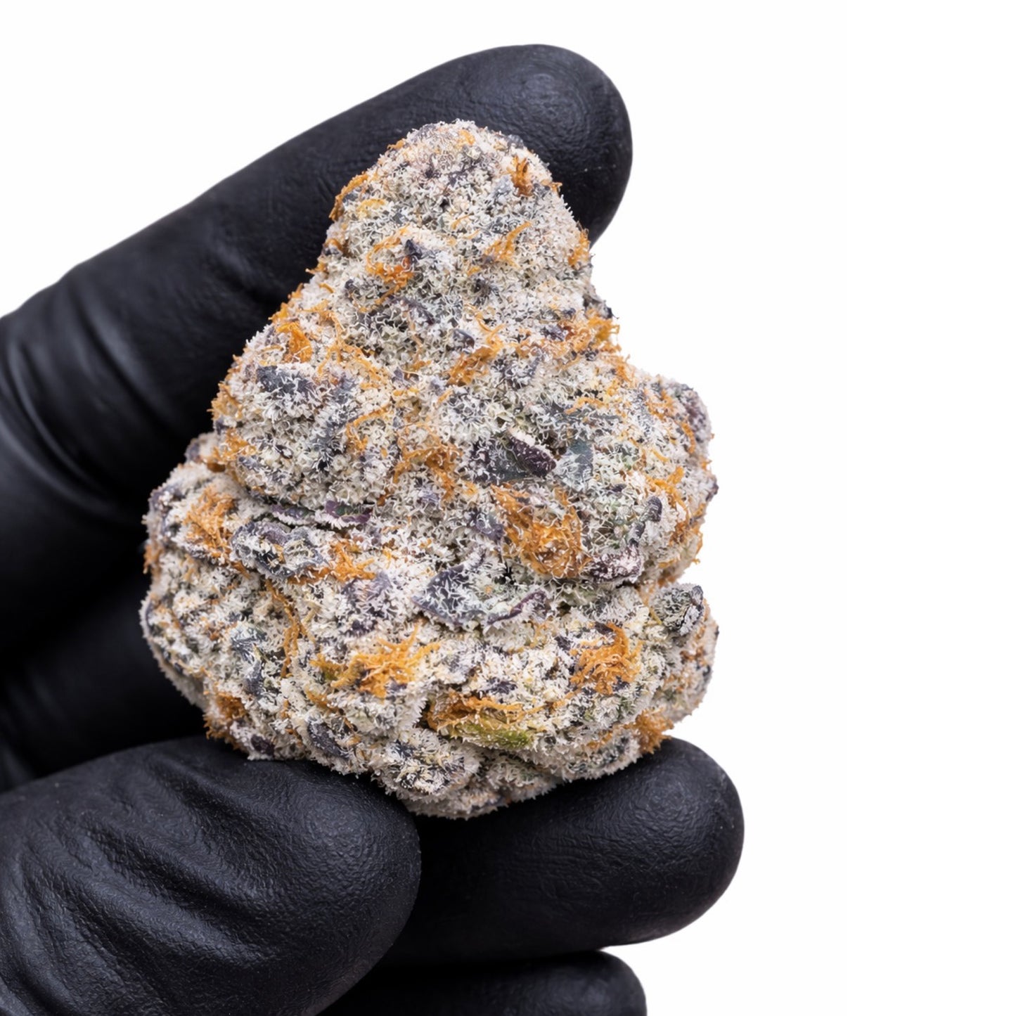 THCa Flower | Northern Lights Exotic