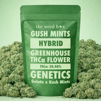 THCa Flower | Gush Mintz 14g