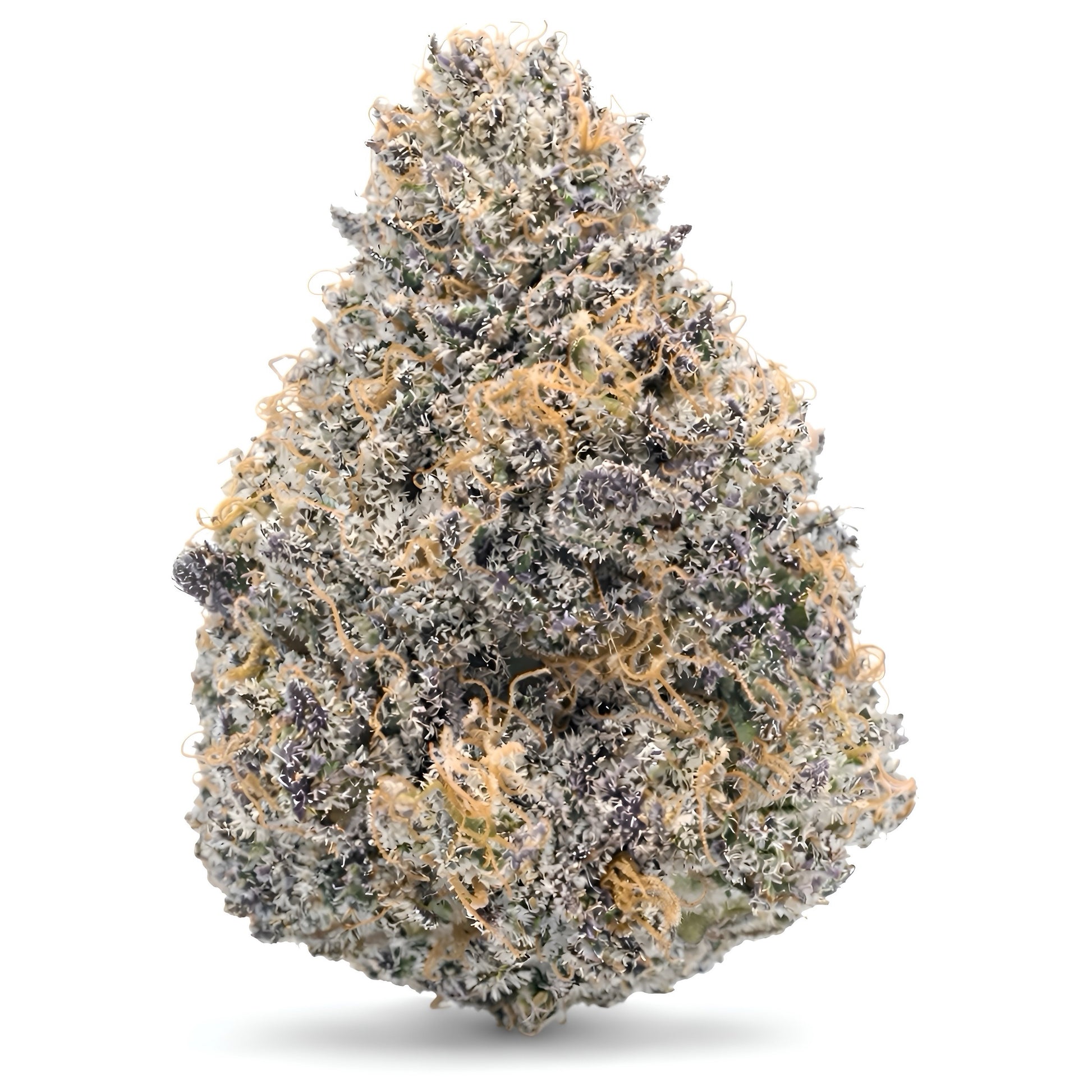 Thca Space Runtz strain