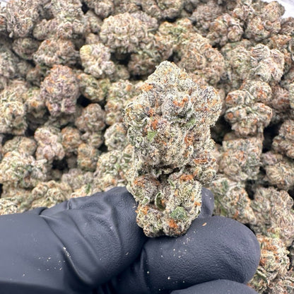 THCa Flower | Space Runtz Exotic