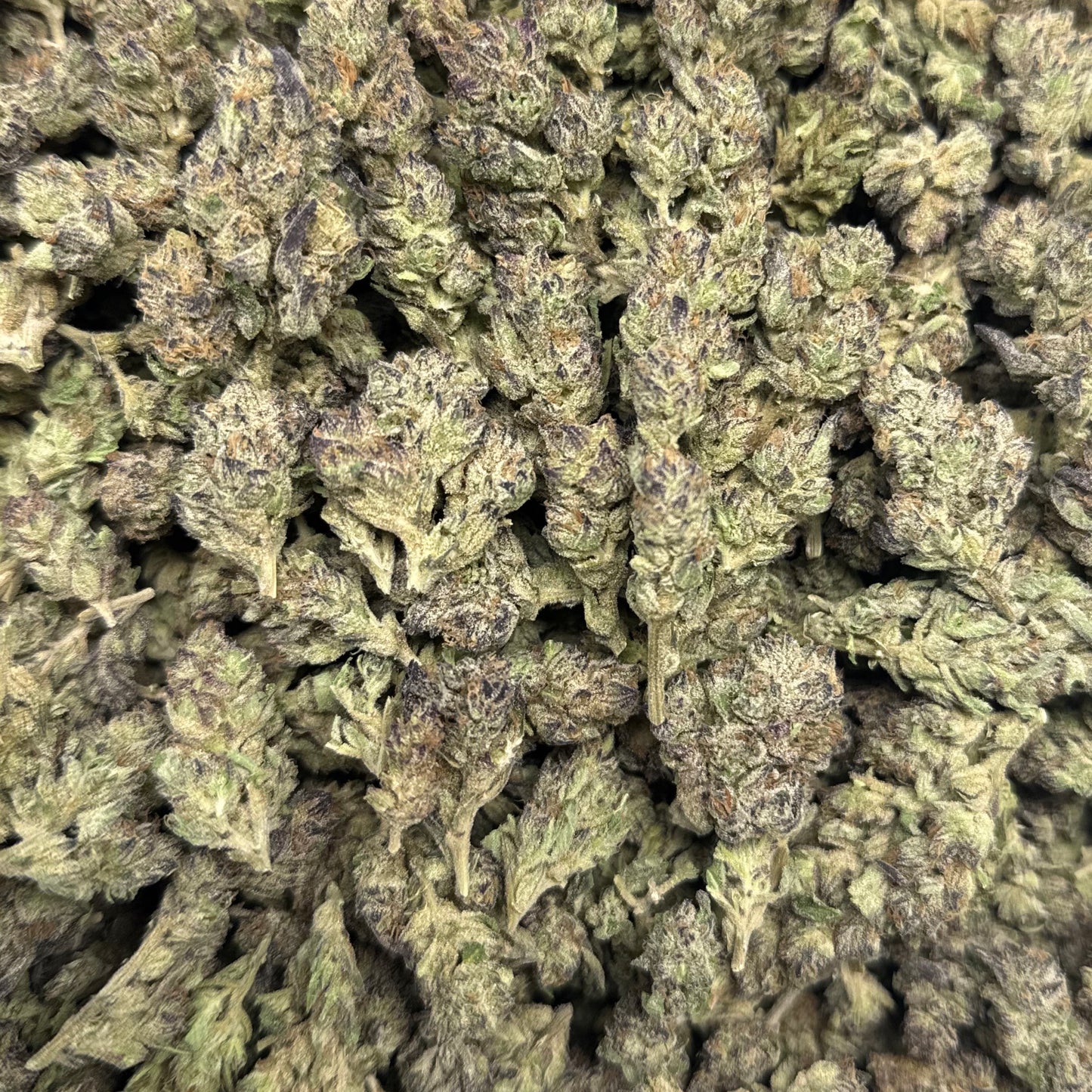 THCa Flower | Government Oasis Exotic Smalls/Micros 14g