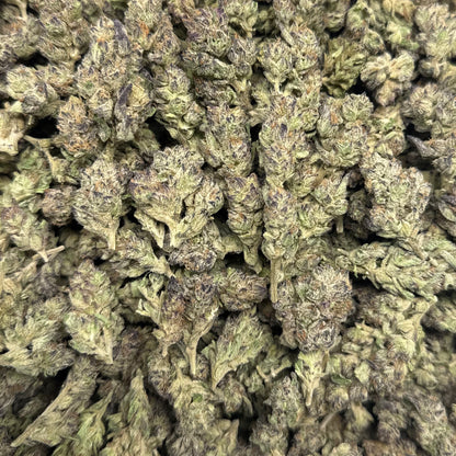 THCa Flower | Government Oasis Exotic Smalls/Micros 14g