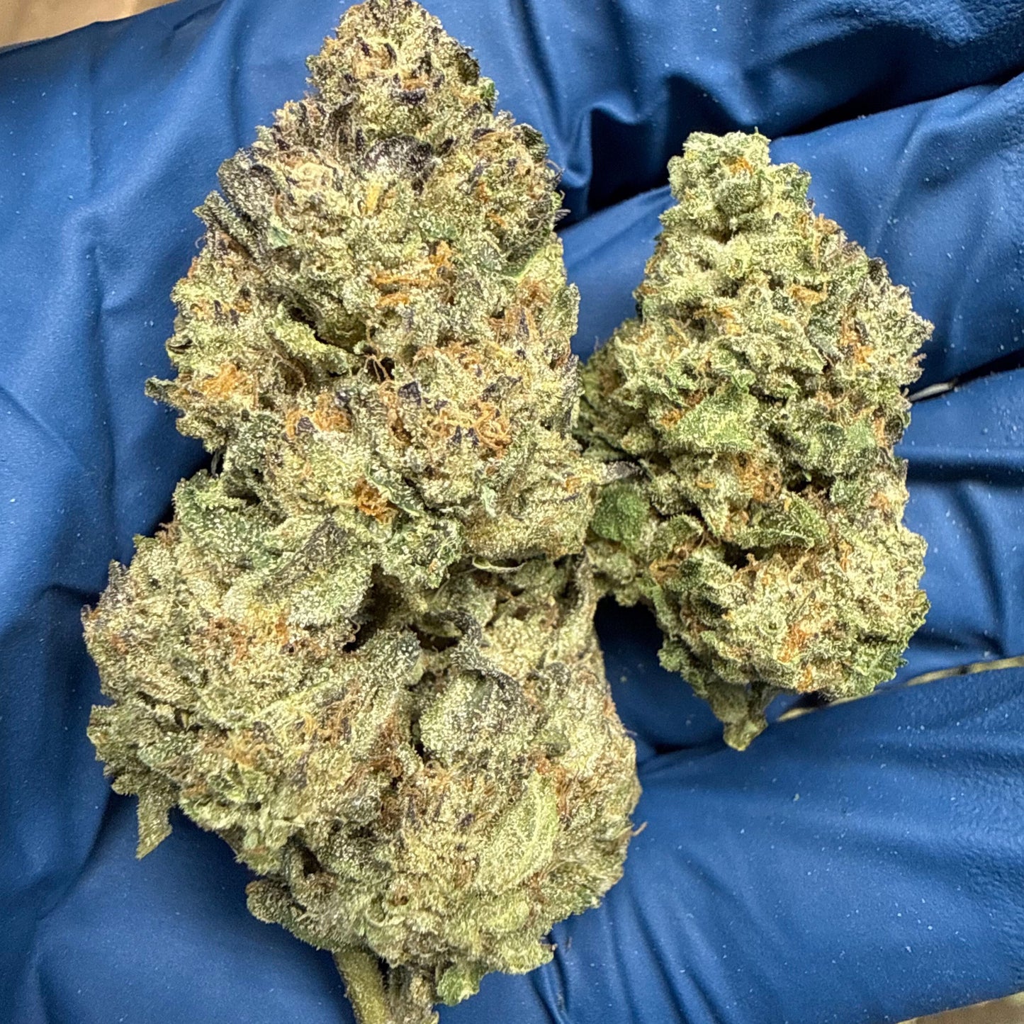 THCa Flower | Ice Cream Cake 14g