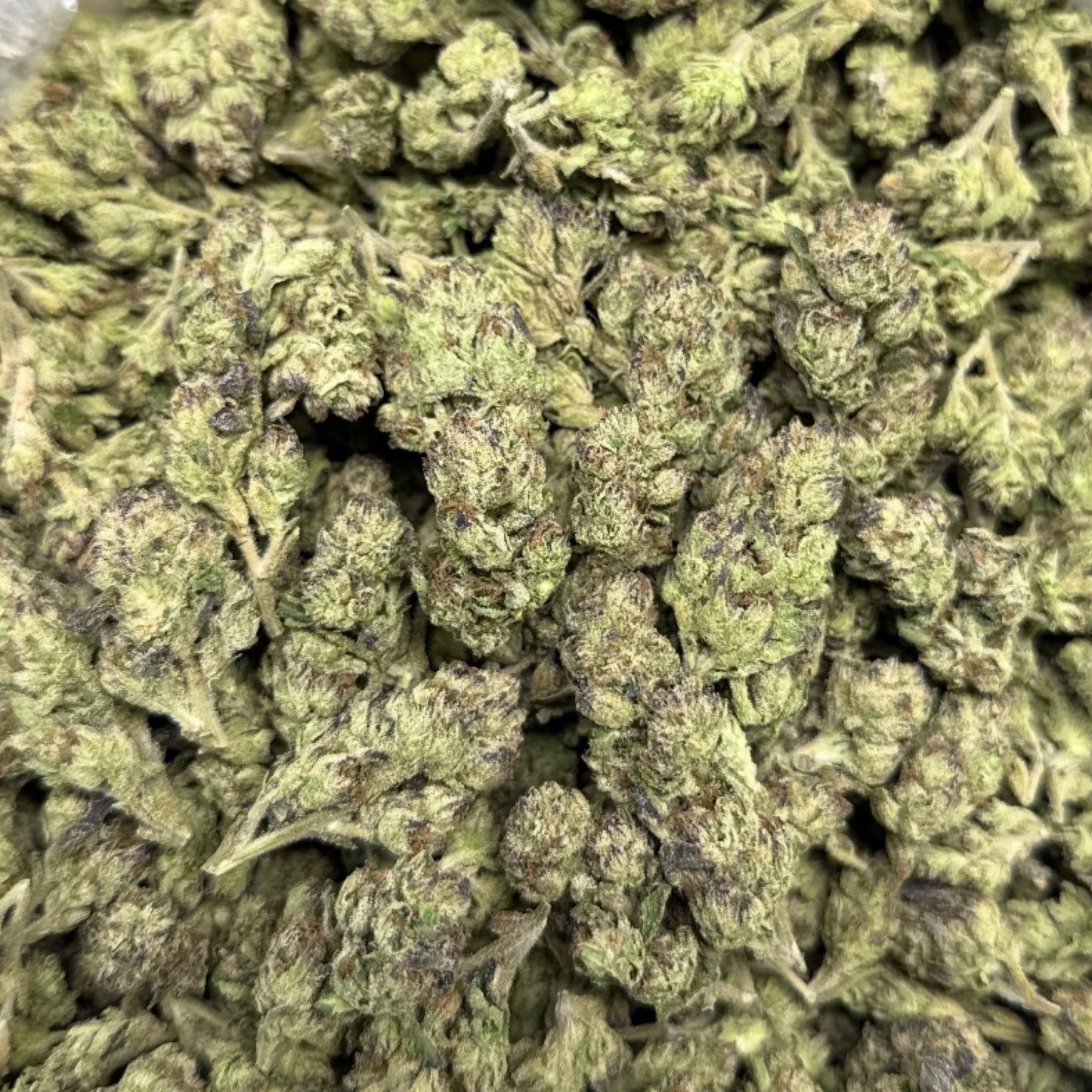 THCa Flower | Lemon Cherry Gelato Exotic Smalls 14g