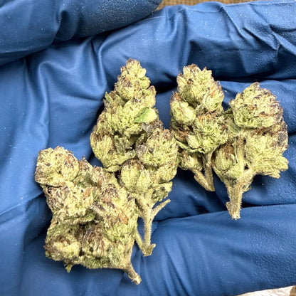 THCa Flower | Lemon Cherry Gelato Exotic Smalls 14g