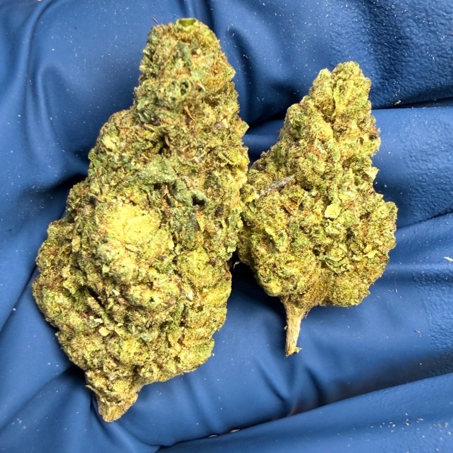 THCa Flower | Galaxy Runtz 14g