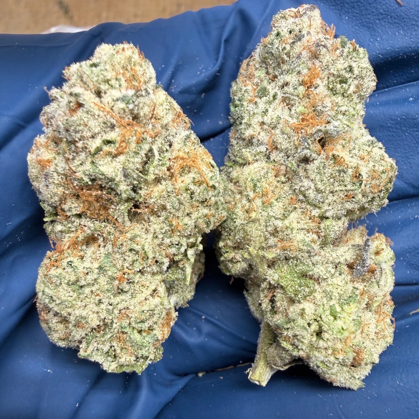 THCa Flower | Strawberry Guava Exotic 5g