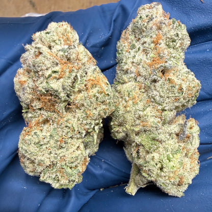 THCa Flower | Strawberry Guava Exotic 5g