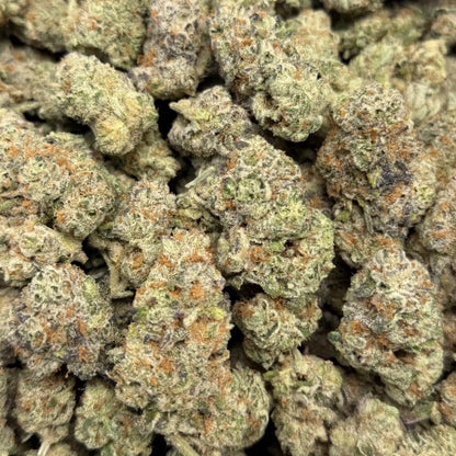 THCa Flower | Strawberry Guava Exotic 5g