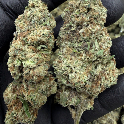 THCa Flower | Blueberry Pie 14g