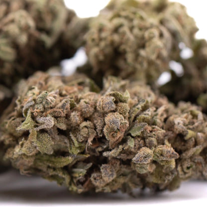 THCa Flower | Strawberry Cheesecake
