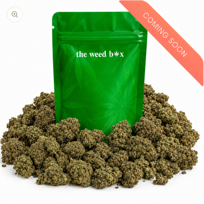 THCa Flower | Government Oasis