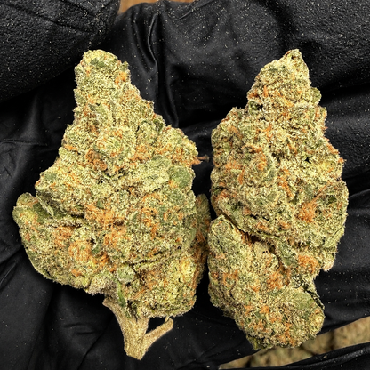 THCa Flower | Pipe Dream