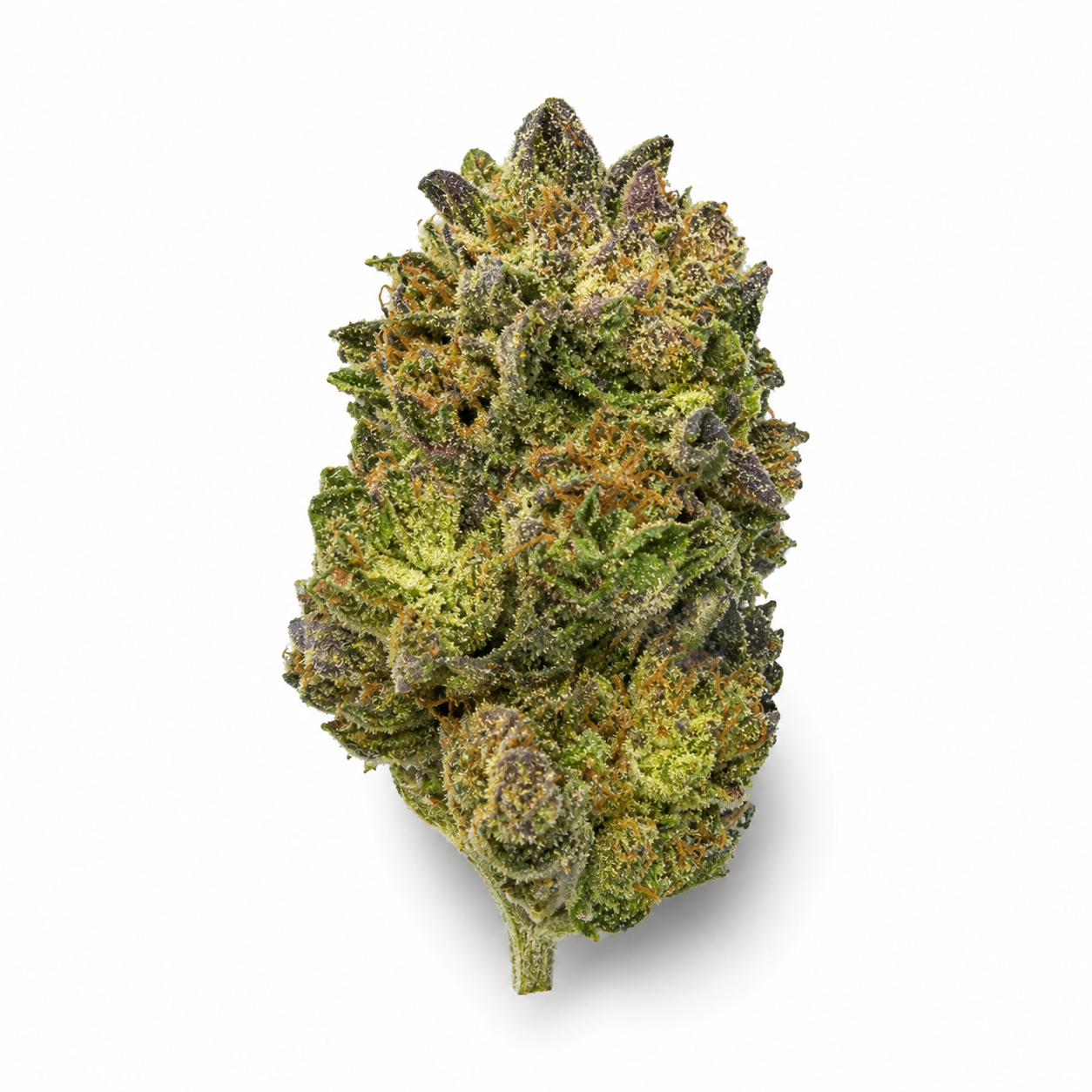 THCa Flower | G-41