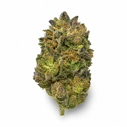 THCa Flower | G-41