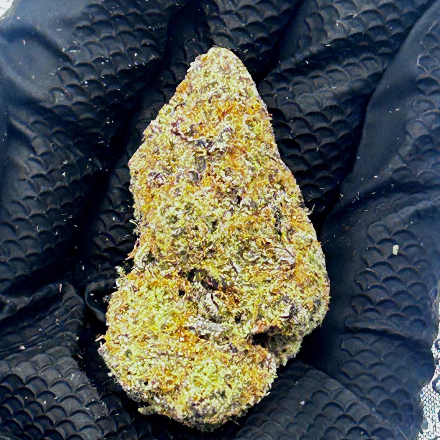 THCa Flower | Jellyroll