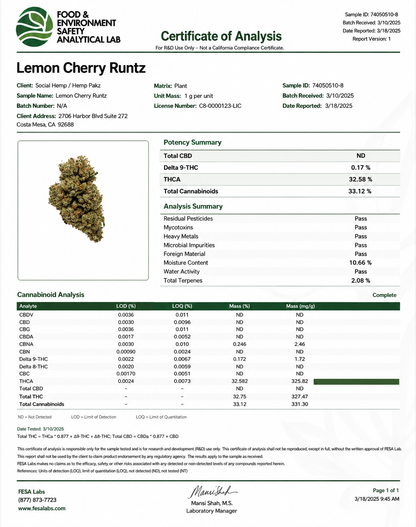 THCa Flower | Lemon Cherry Runtz