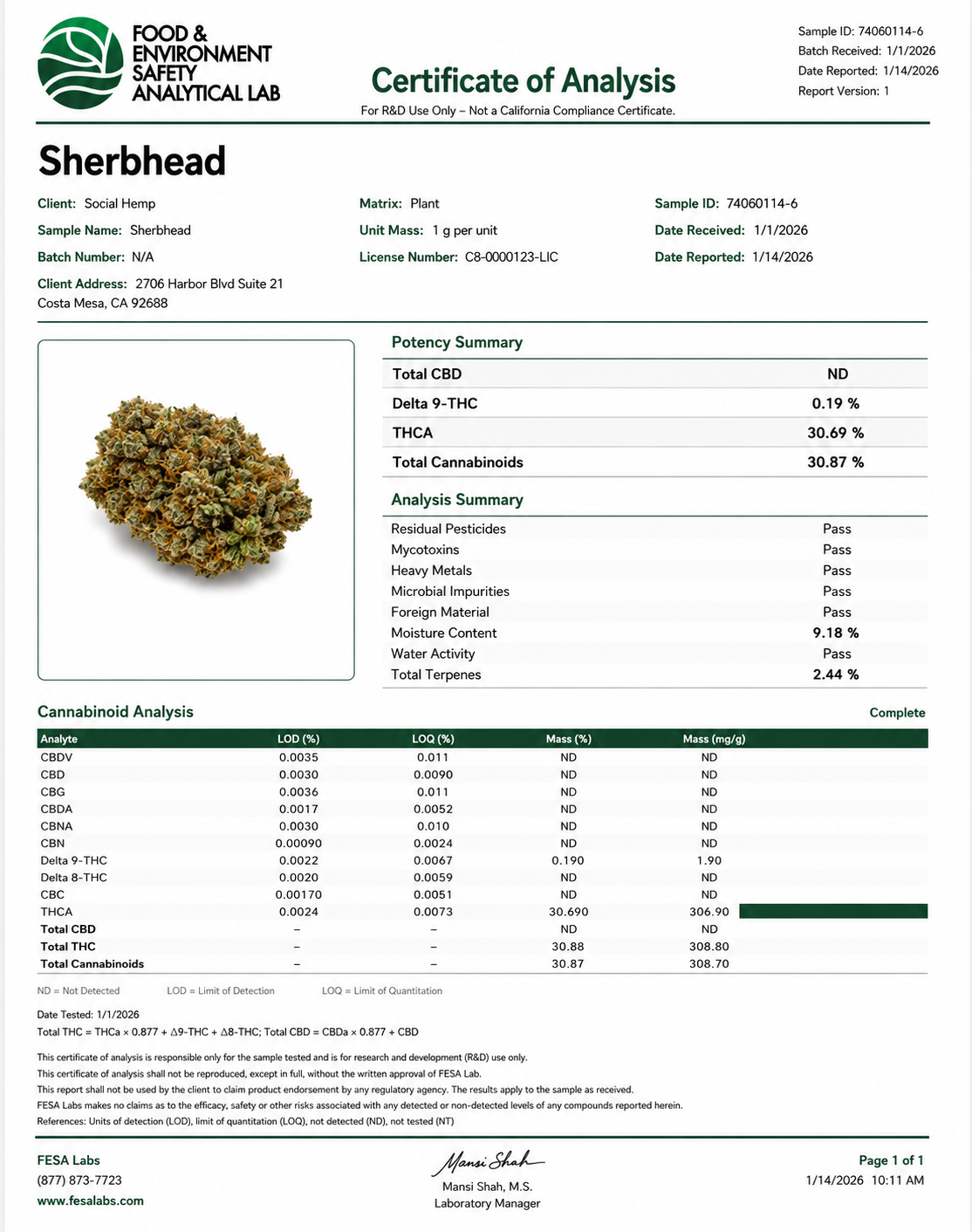 THCa Flower | Sherbhead