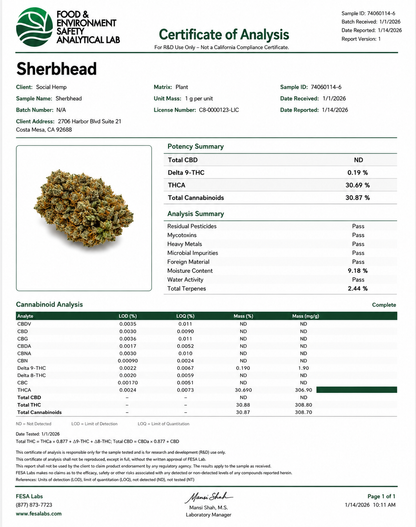 THCa Flower | Sherbhead