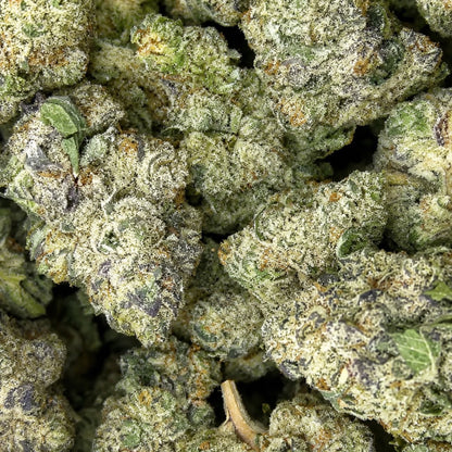 THCa Flower | *New* Grape Gas Exotic