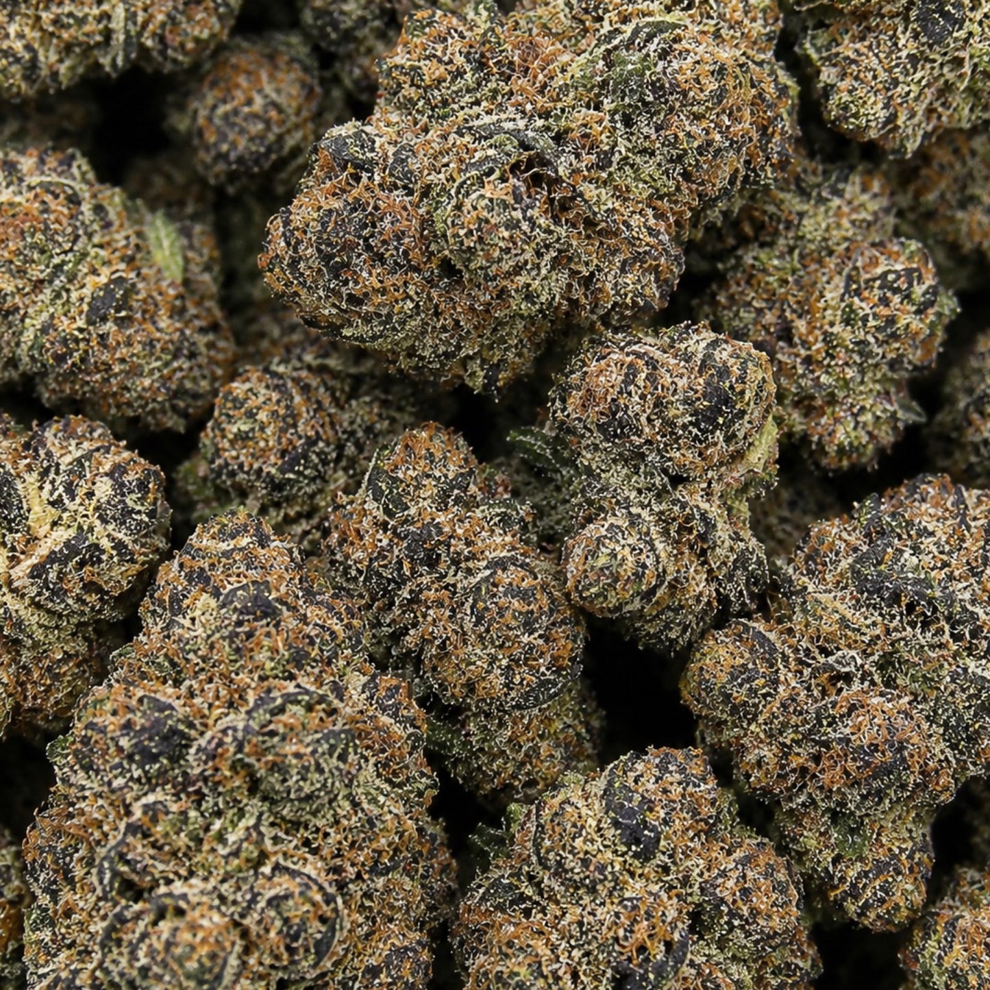 THCa Flower | Peanut Butter Cup Exotic