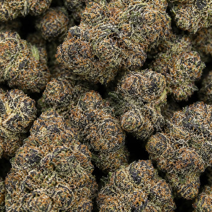 THCa Flower | Peanut Butter Cup Exotic
