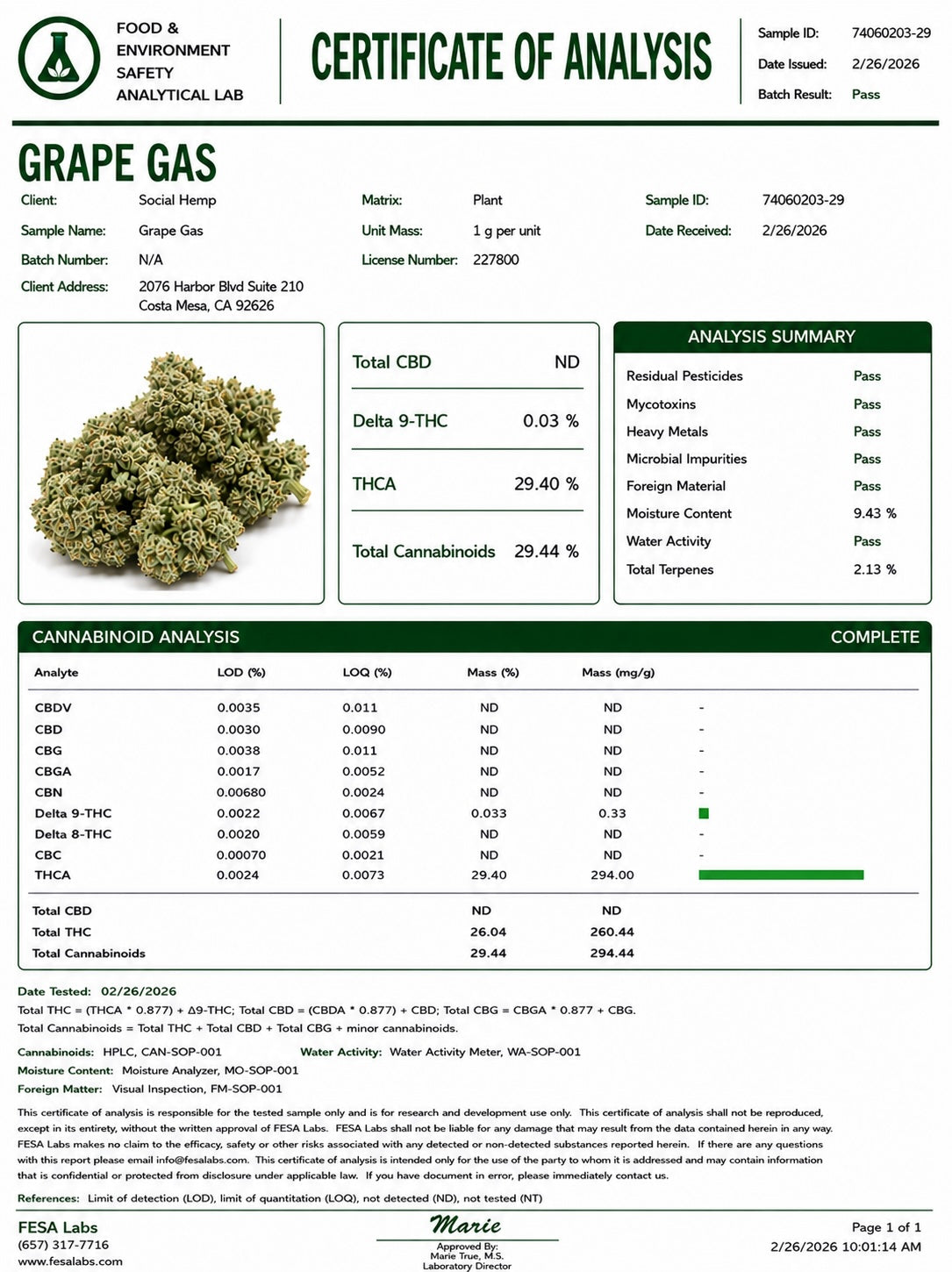 THCa Flower | *New* Grape Gas Exotic