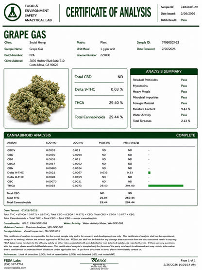 THCa Flower | *New* Grape Gas Exotic