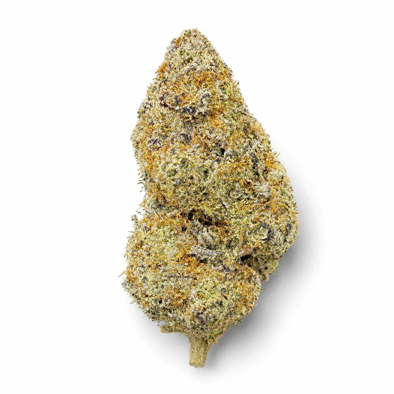 Jellyroll strain THCa flower