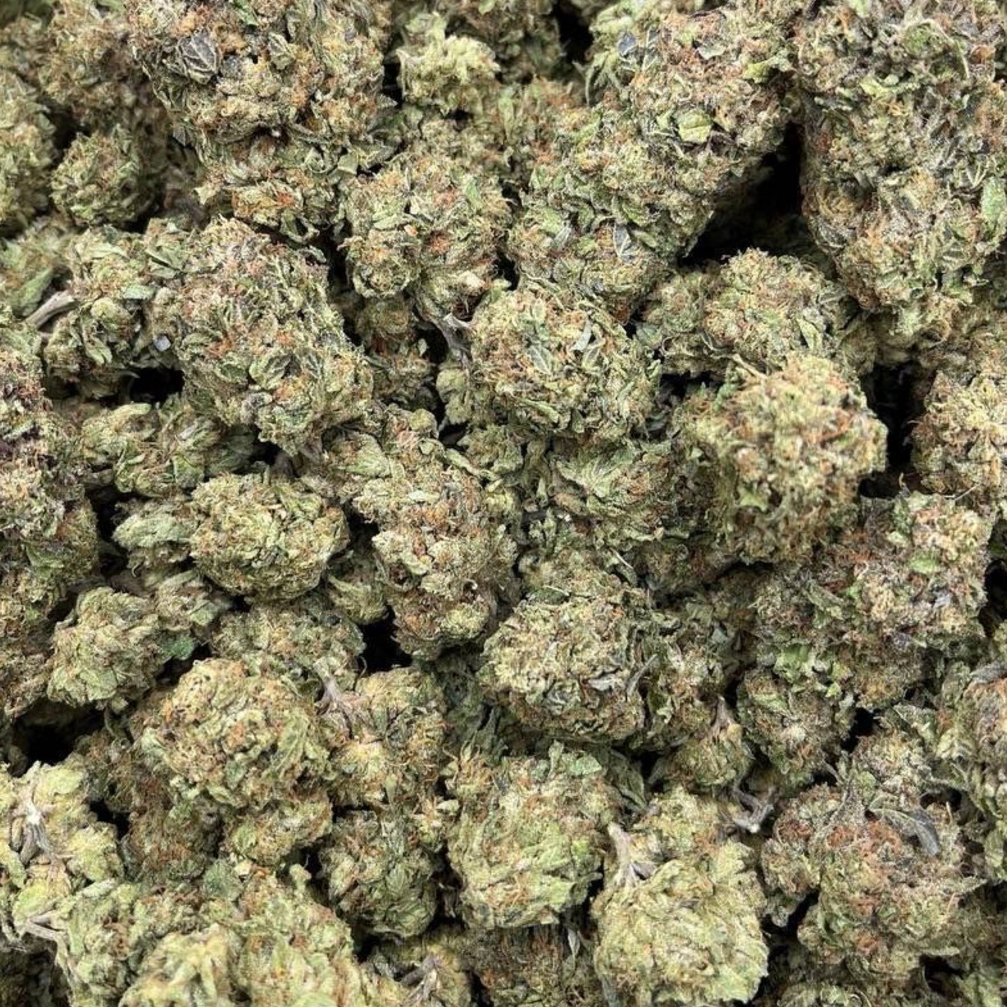 Jet fuel THCa strain