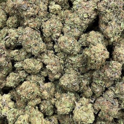 Jet fuel THCa strain