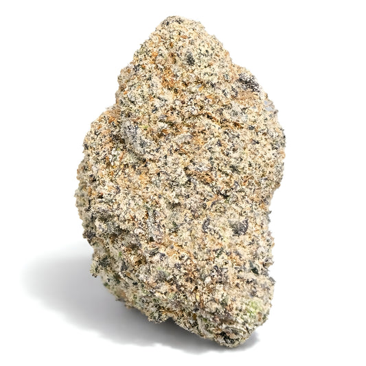 Lizard burger THCa strain