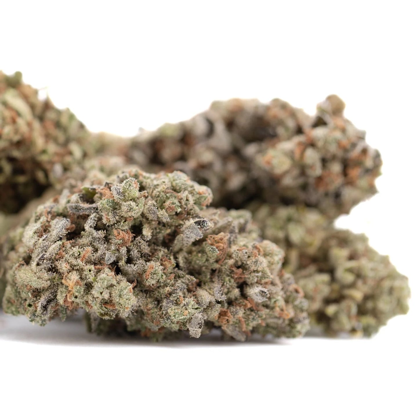 Mega Gummie Bearz THCa flower Strain