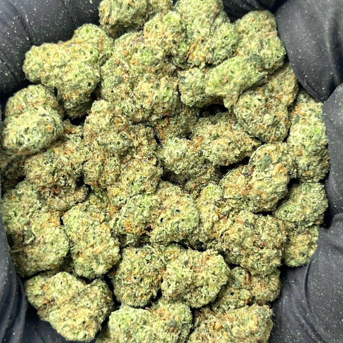 Pink Certz THCa strain