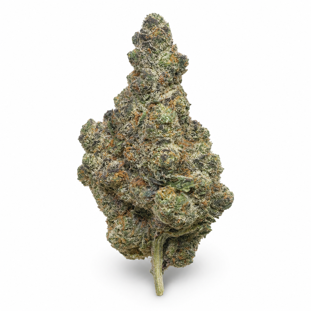 THCa Flower Apple Fritter