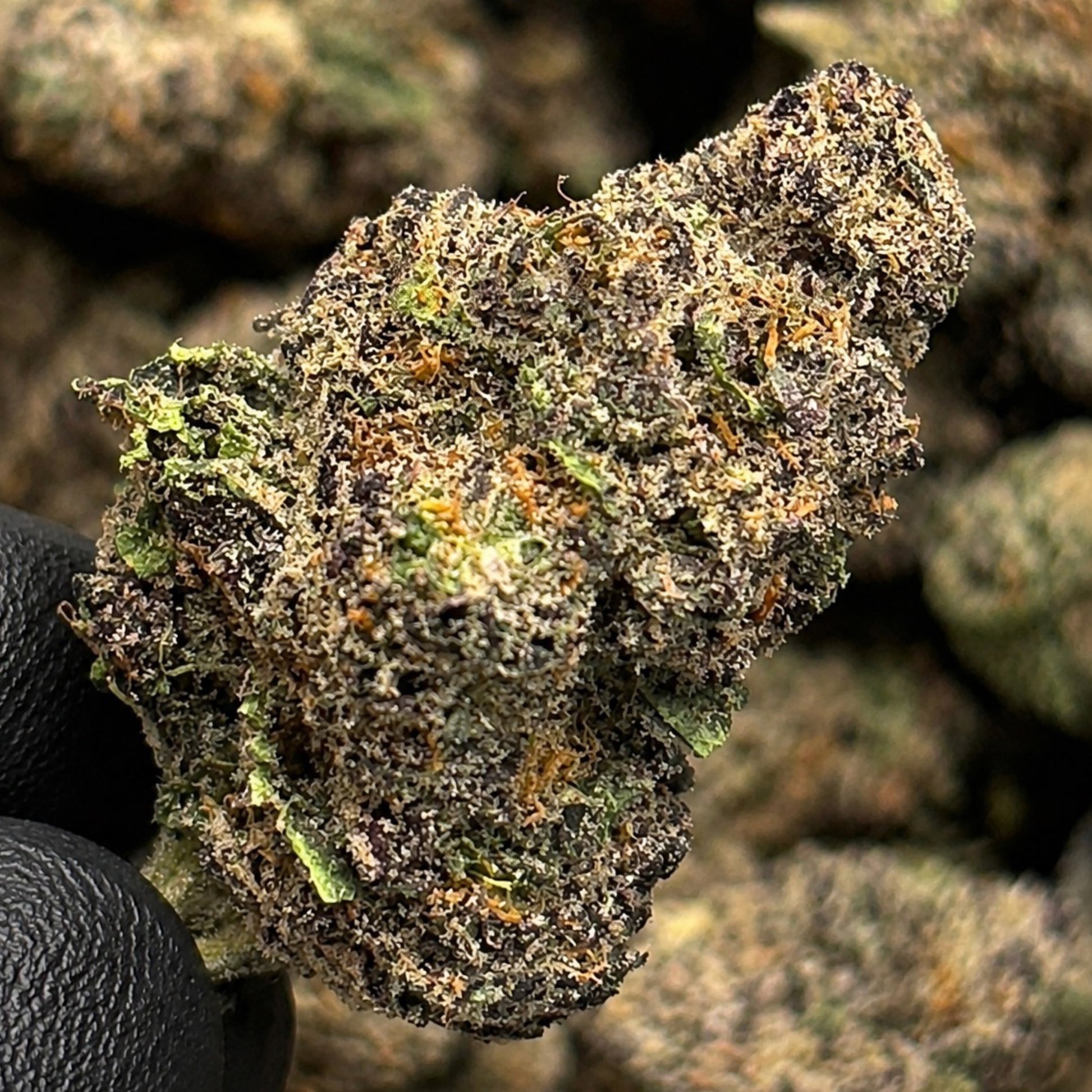 THCa Flower Black Magic 