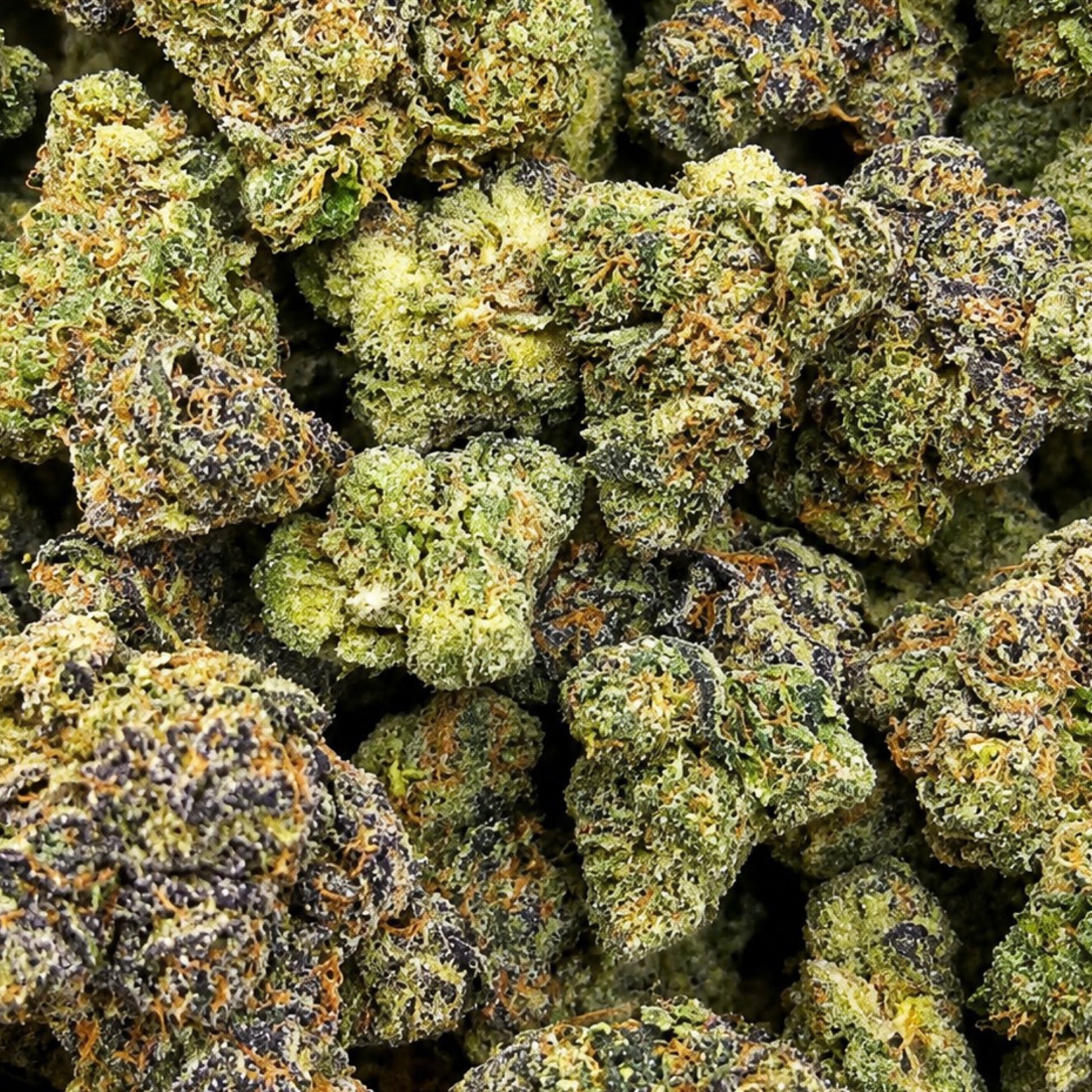 THCa Flower Blizzard Wizard