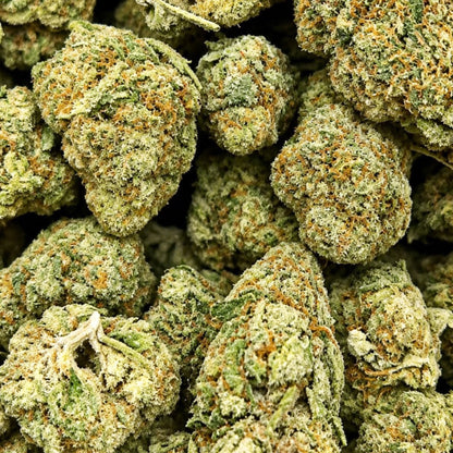 THCa Flower Blueberry