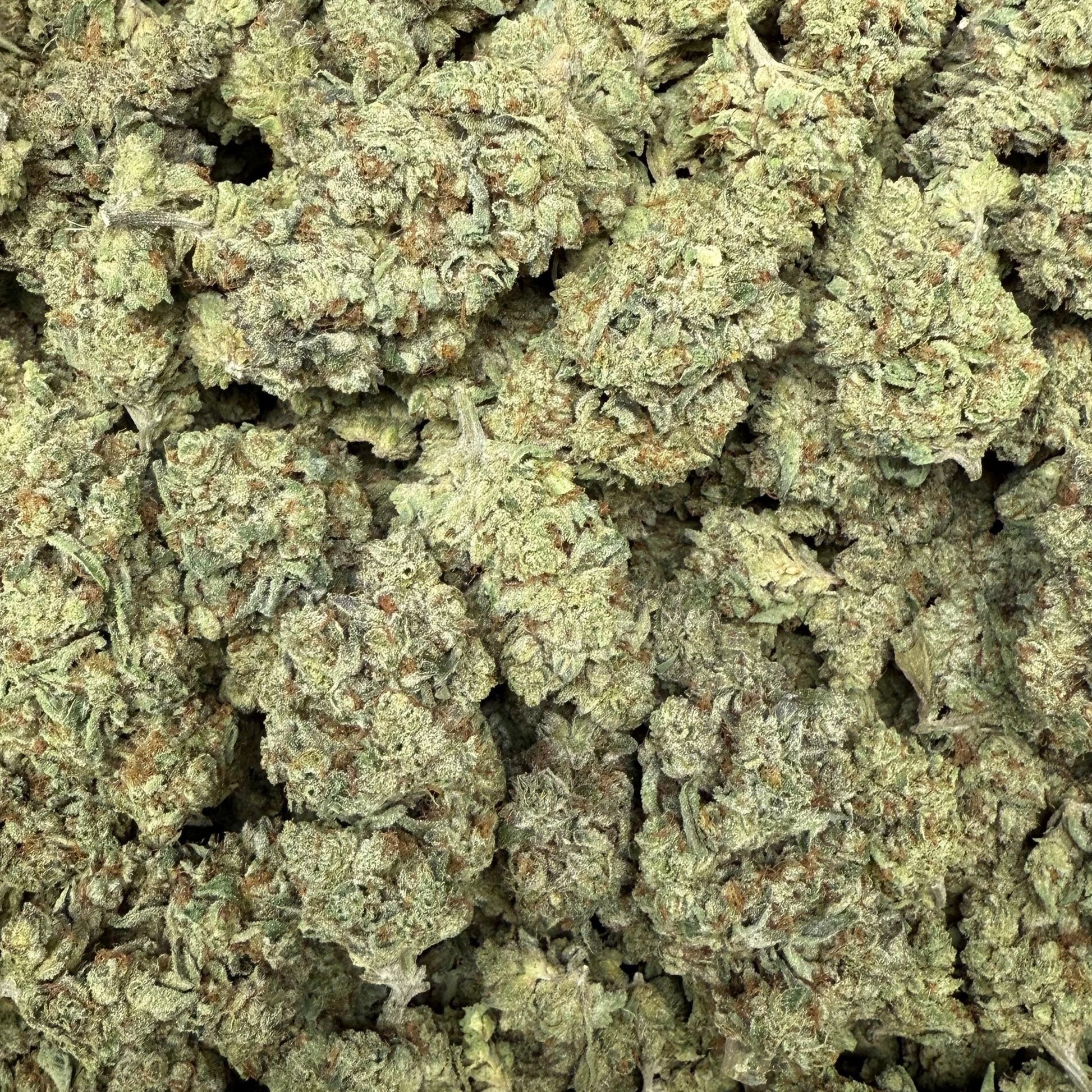 THCa Flower Cream Pop Strain