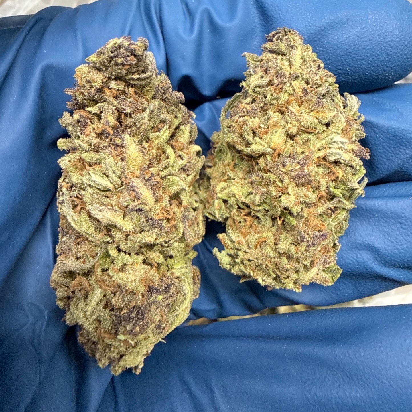 THCa Flower Gelato Indica