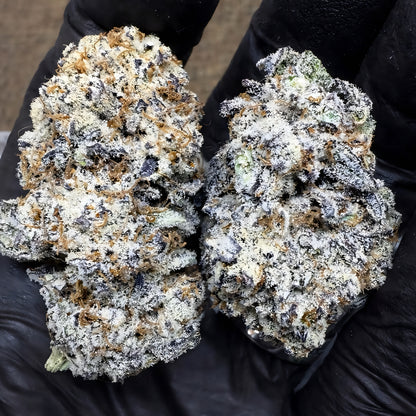 THCa Flower Purple Punch Strain