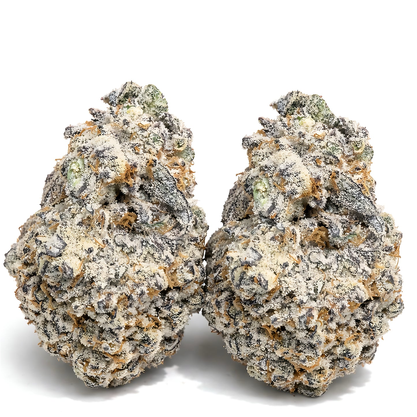 THCa Flower Purple Punch Strain