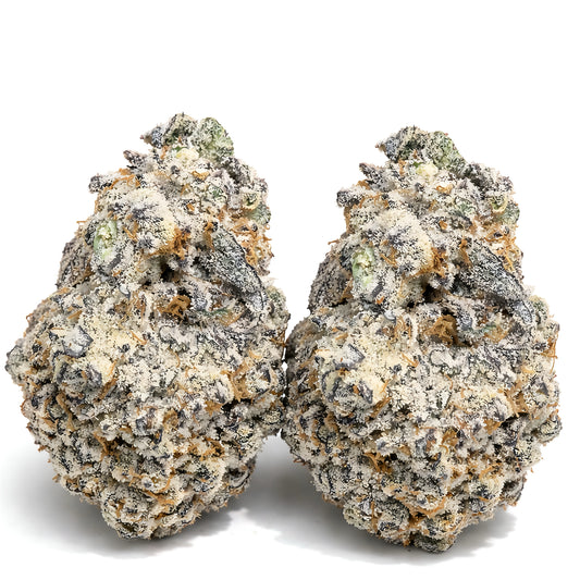 THCa Flower Purple Punch Strain