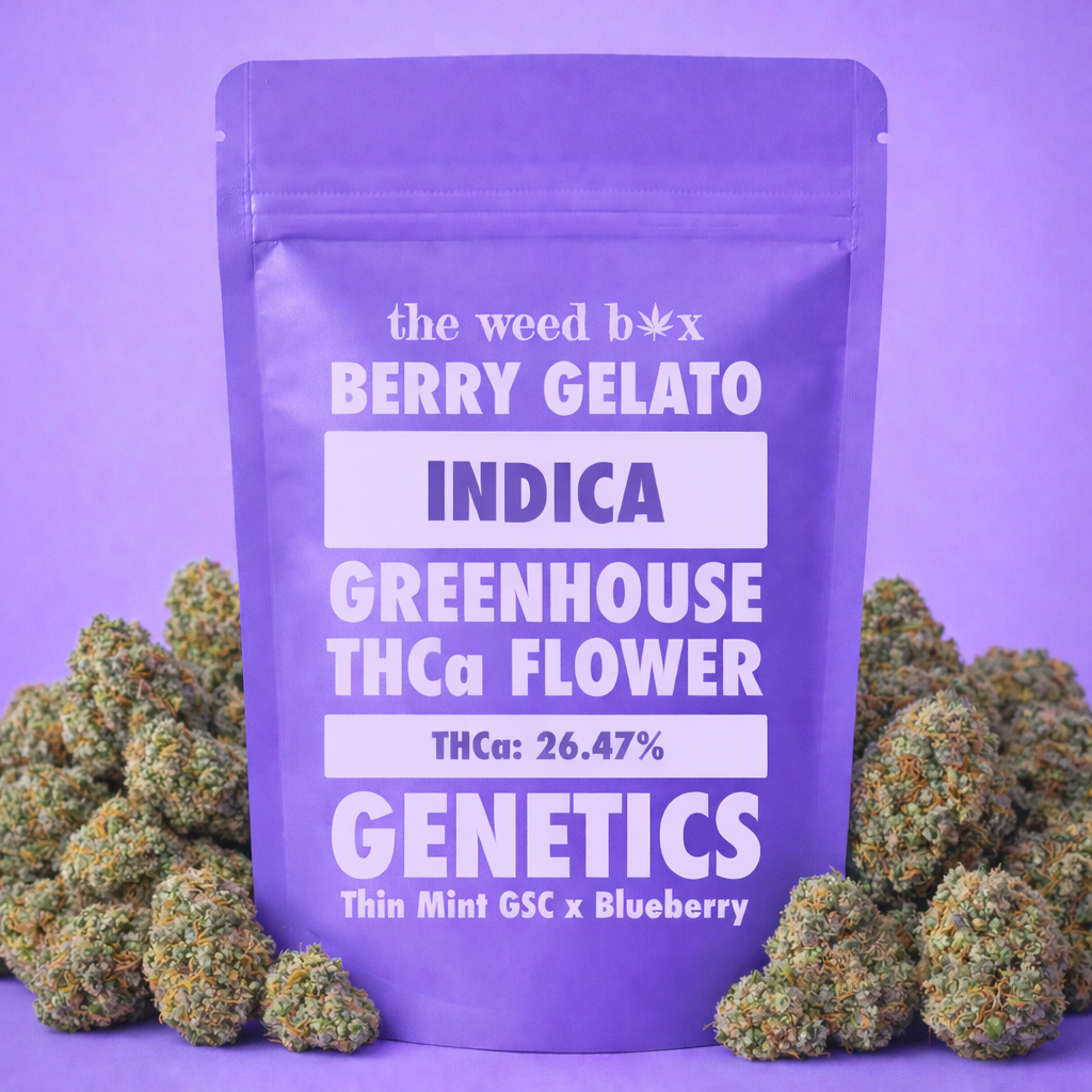 THCa Flower Berry Gelato Strain