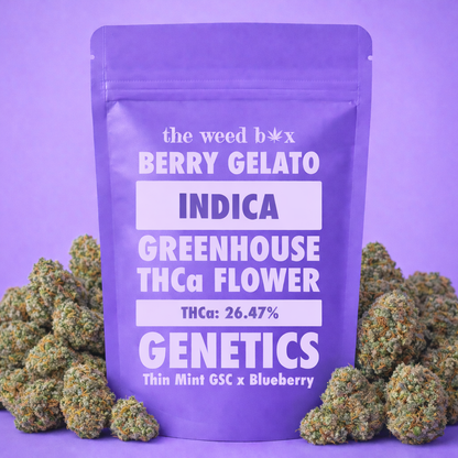 THCa Flower Berry Gelato Strain