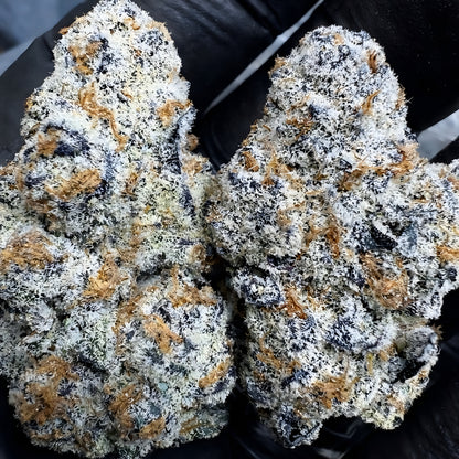 Buy THCa flower Northern Lights Exotic strain