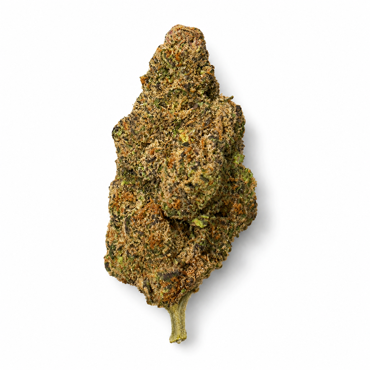 THCa flower Sherbhead