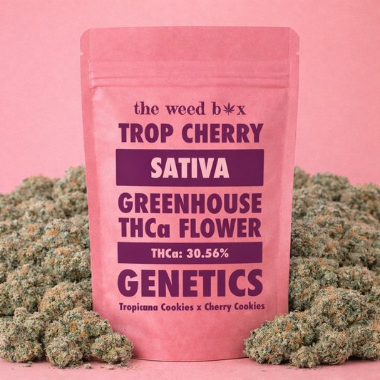 THCa flower Trop Cherry Strain
