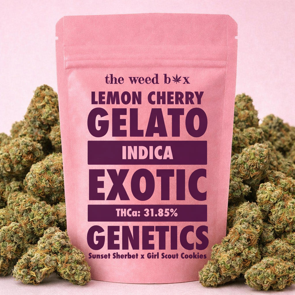 THCa flower lemon Cherry Gelato